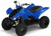 Yamaha YFM50 Yamaha YFM50
